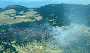 Huckleberry Wildfire