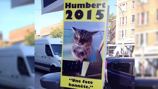 Humbert, the four-year-old tabby, is running under slogans including: "An honest face," "The time is now," and "Let's keep the box clean."