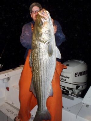 Whopper Fish