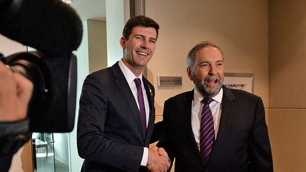 Mulcair stock options