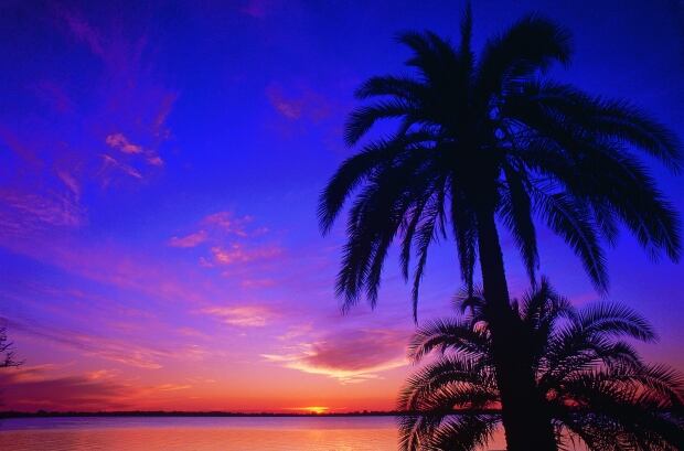 FloridaSunset