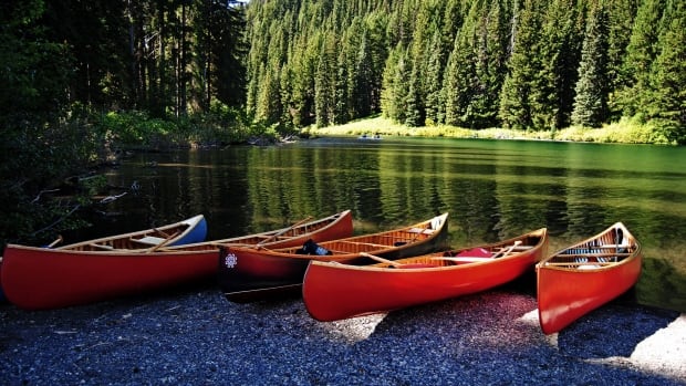Author Roy MacGregor says canoes were the makeout mobiles of Victorian times... spawning the term 'canoodling'.