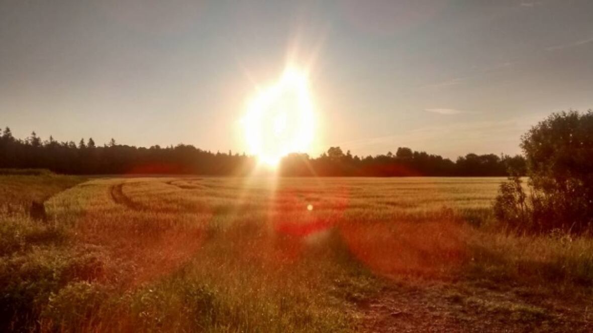 New Brunswick weather sunny and warm start to the week New Brunswick