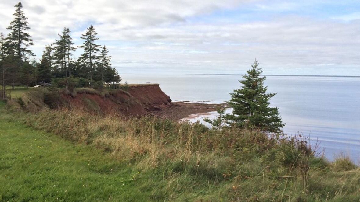 P.E.I. weather forecast Clouds, sun, showers, a mixed bag Monday Prince Edward Island CBC News