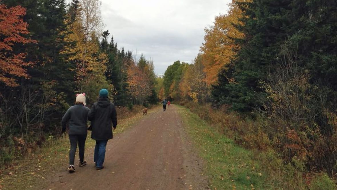 P.E.I. weather forecast Some clouds remain Tuesday Prince Edward