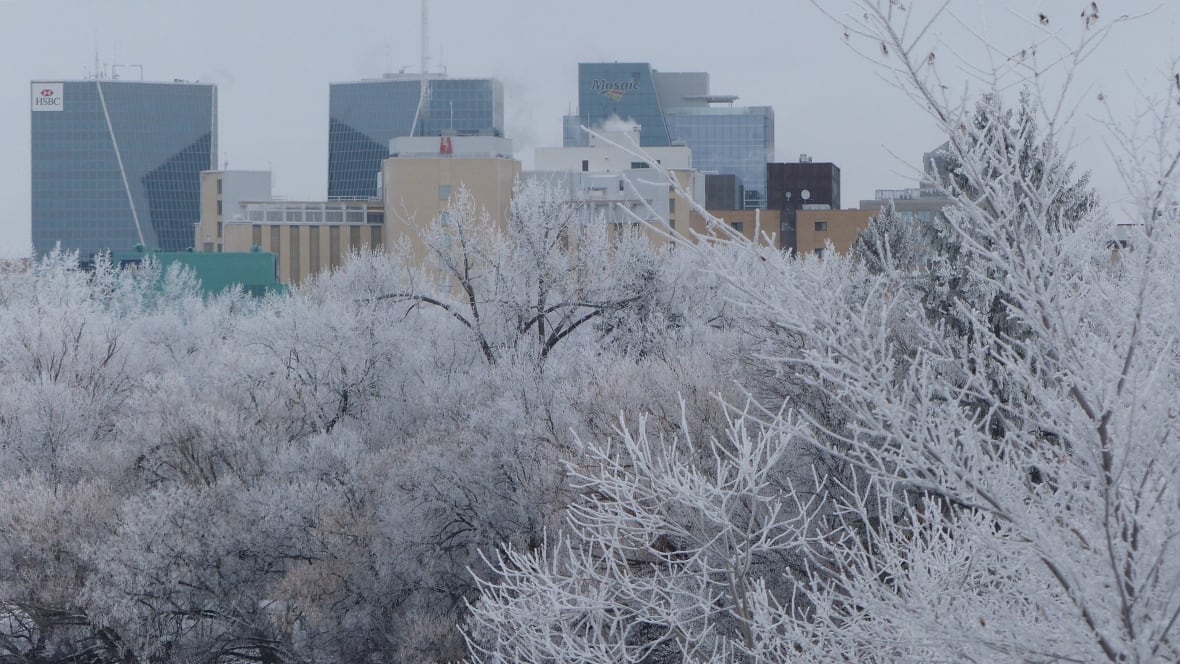 Regina's weather, traffic and gas prices for Saturday Saskatchewan