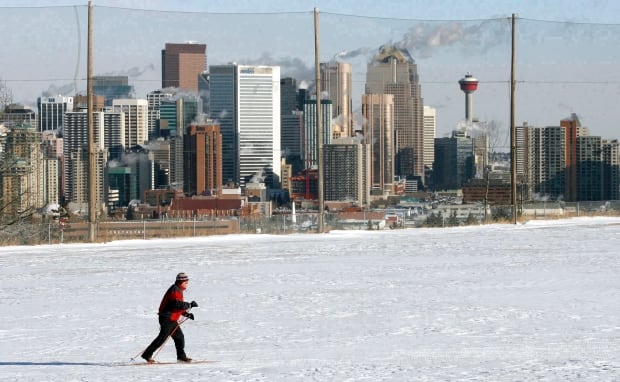 Calgary skyline, 2008