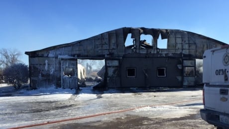 The roof of a horse barn at Classy Lane Stables Training Centre collapsed in a fire that killed over 40 racehorses. Horse barn