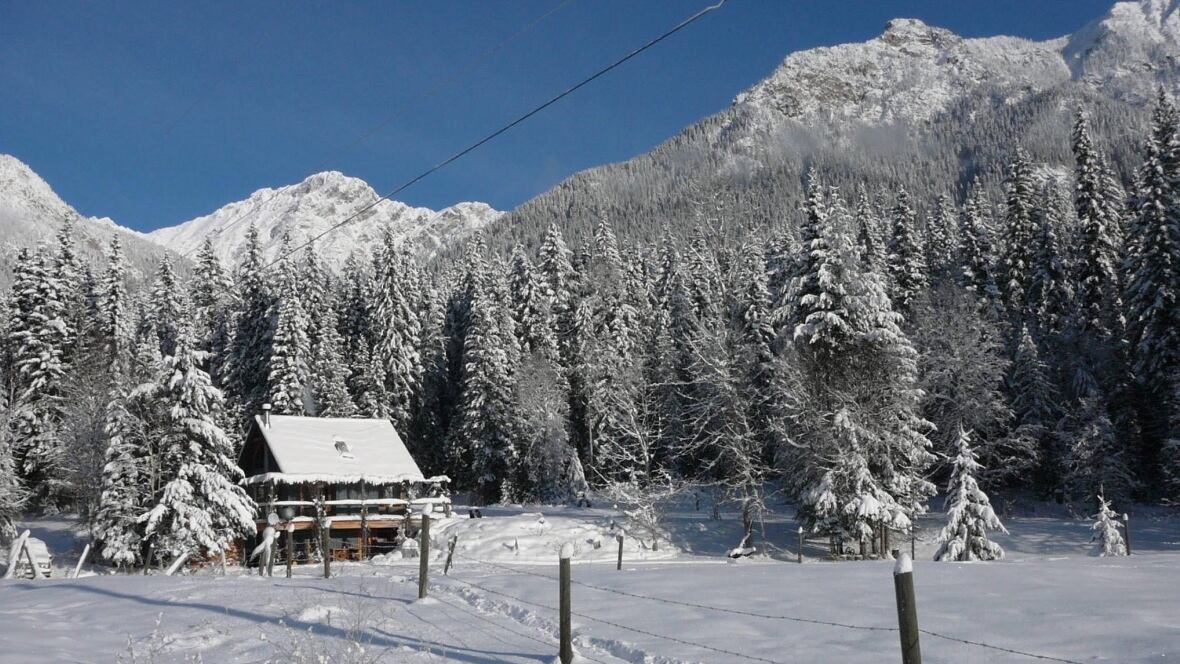 Mountains 101 U of A and Parks Canada offer free online mountain