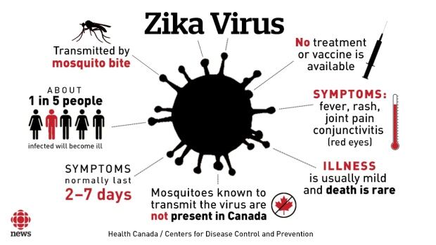 Zika Virus Outbreak An Emergency World Health Organization Says Health Cbc News