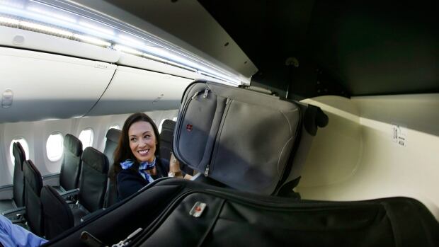 flight attendant luggage carry-on stewardess