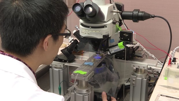 A postdoctoral research fellow exams lab results