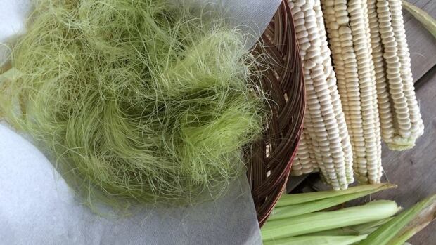 The Mohawk Seed Keepers Facebook group encourages traditional indigenous gardening practices and seed saving.