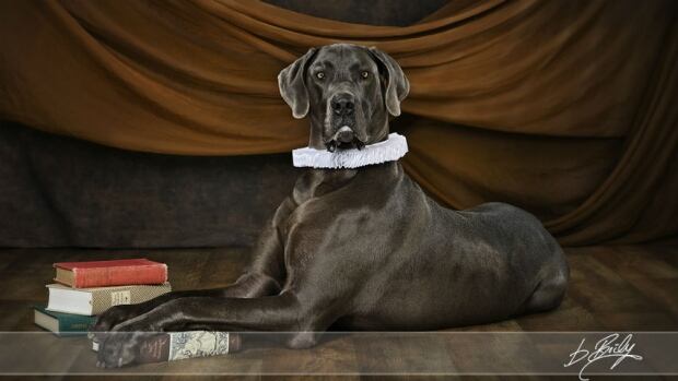 Buffie Boily pet photos