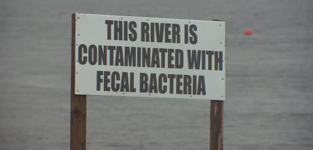 LaHave River, sewage, fecal bacteria