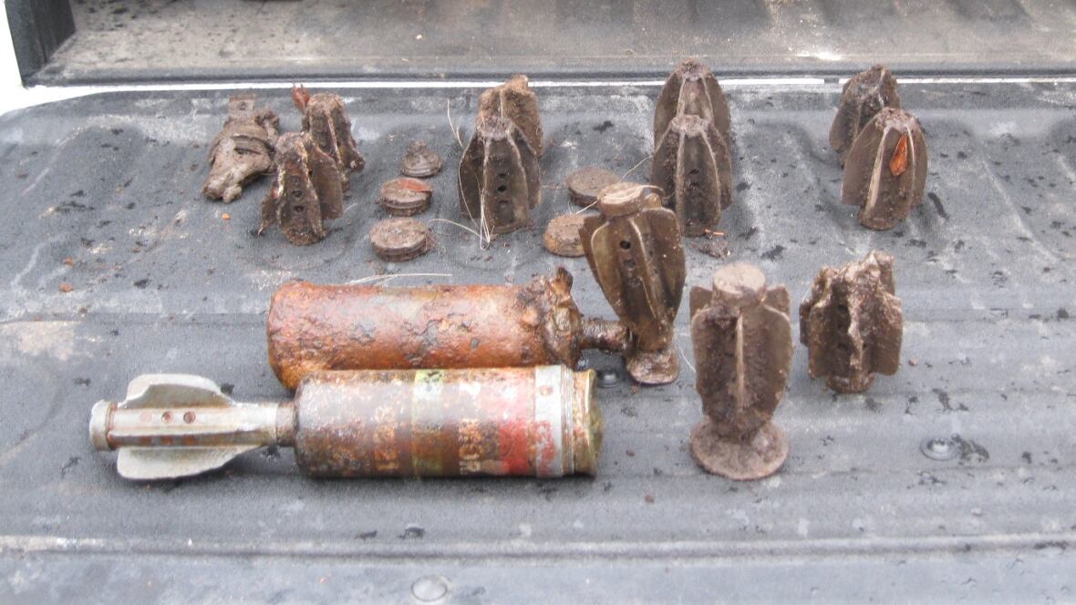 Unexploded mortar shells discovered in St. blueberry field New