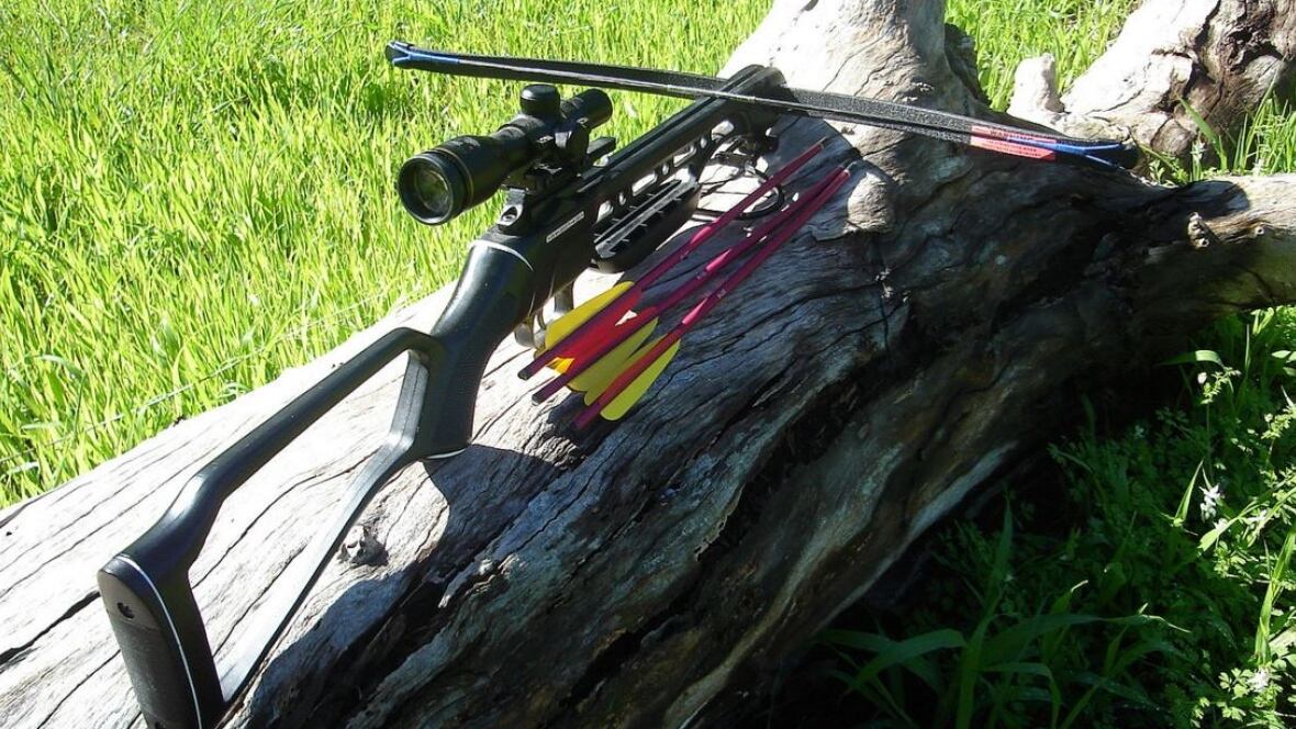 Deer archery season opened to crossbow hunters New Brunswick CBC News