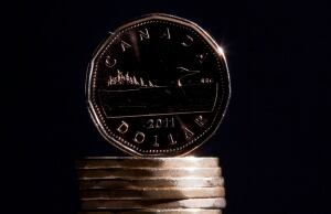 Loonie 20141125