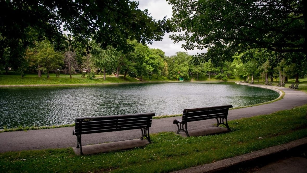Montreal holds public consultations on future of La Fontaine Park Montreal CBC News Montreal holds public consultations on future of La Fontaine Park Montreal CBC News