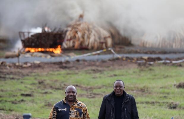 KENYA-WILDLIFE/