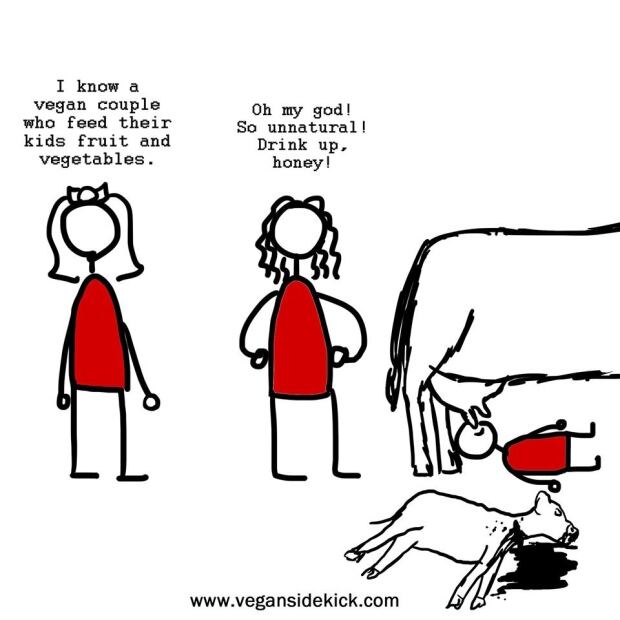 Vegan sidekick