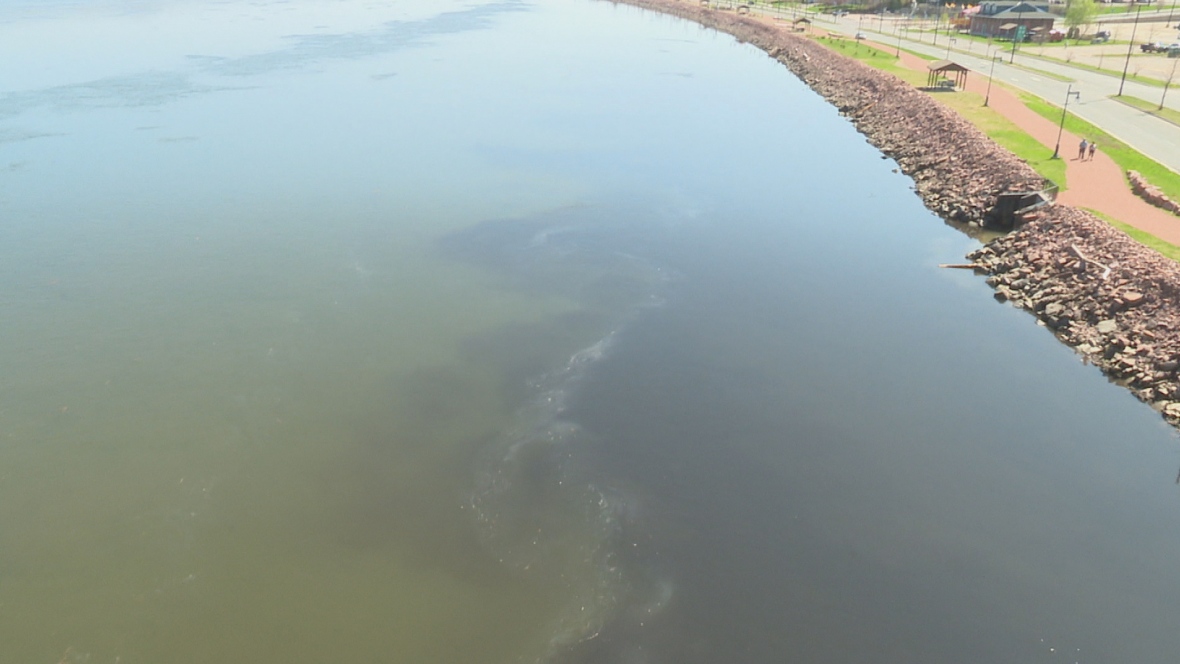 Black water coming from Atholville mill 'fishy' says expert - CBC.ca