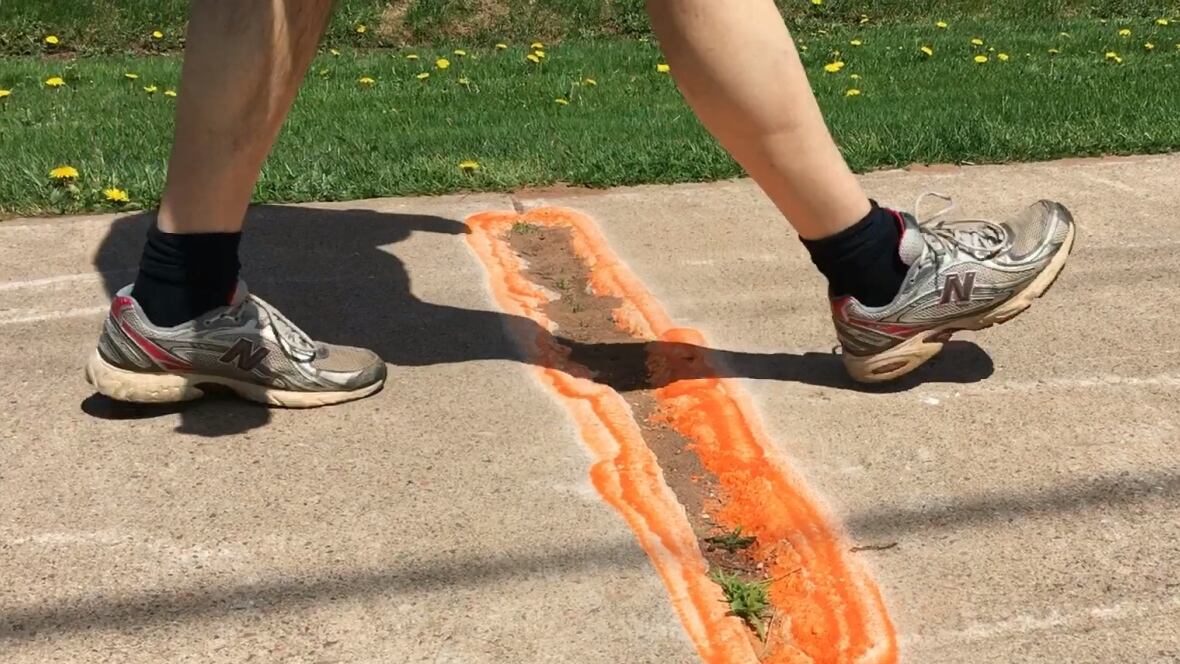 Charlottetown sidewalks safer thanks to orange paint job Prince