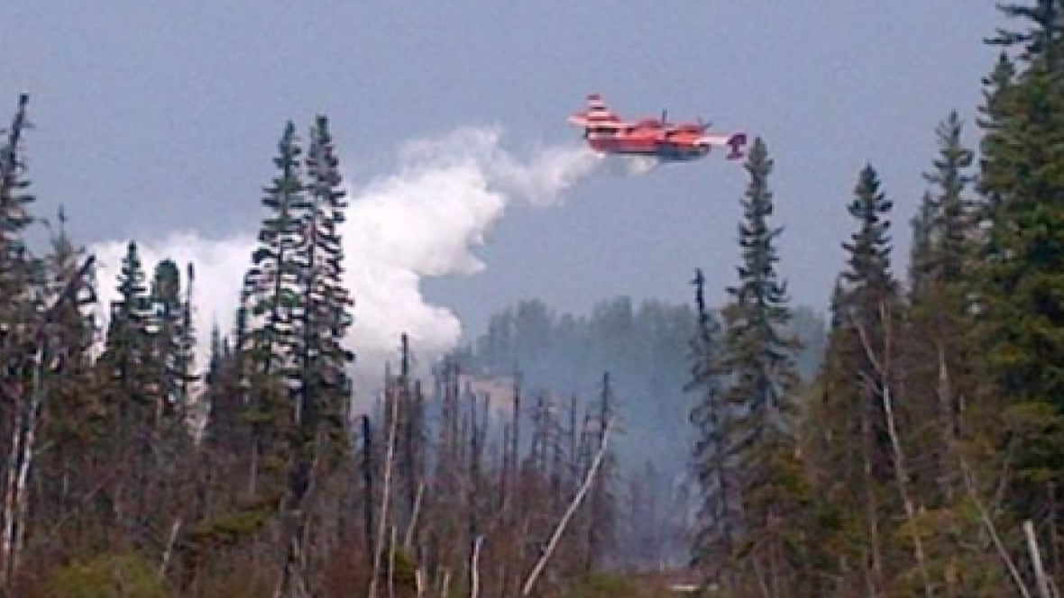 Forest fire burning outside community of Pollard's Point Newfoundland