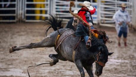 Zeke Thurston stays on Spring Planting to win the saddle bronc event during rodeo finals at the Calgary Stampede in Calgary on Sunday. thurston-zeke-17-07-2016