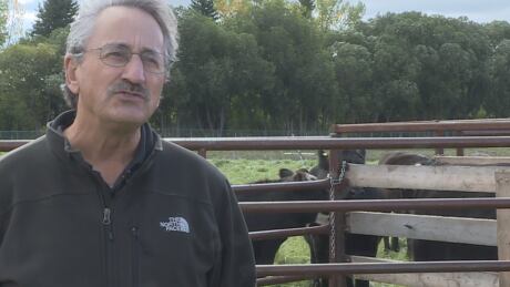 Some cows are more efficient than others, according to research scientist John Basarab. research scientist John Basarab