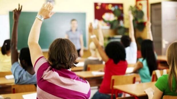 EQAO test reveals dismal math scores at Hamilton schools