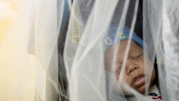 Misael Carrasquillo, 2 months old, sleeps in a mosquito net covered baby stroller during a visit for regular vaccinations in August in Loiza, Puerto Rico. Health officials in the territory reported more than 2,000 Zika cases in the past week.