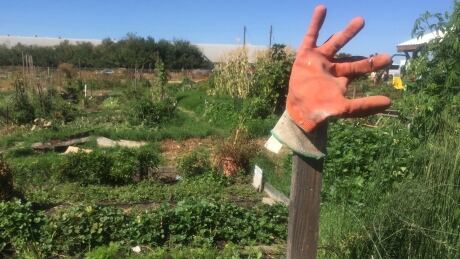 In this county alone, 30 schools are within a quarter mile of fields that receive 30 million pounds of pesticides.
Stockton - Farm-6