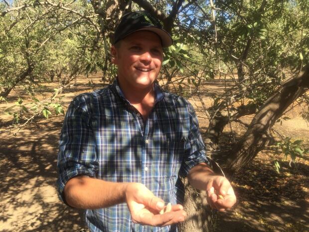 Daniel Bays Almond Farm-8