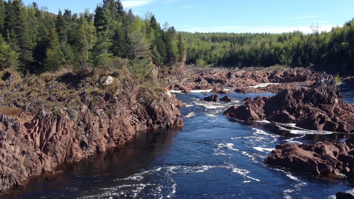 Exploits River an international success story Newfoundland & Labrador