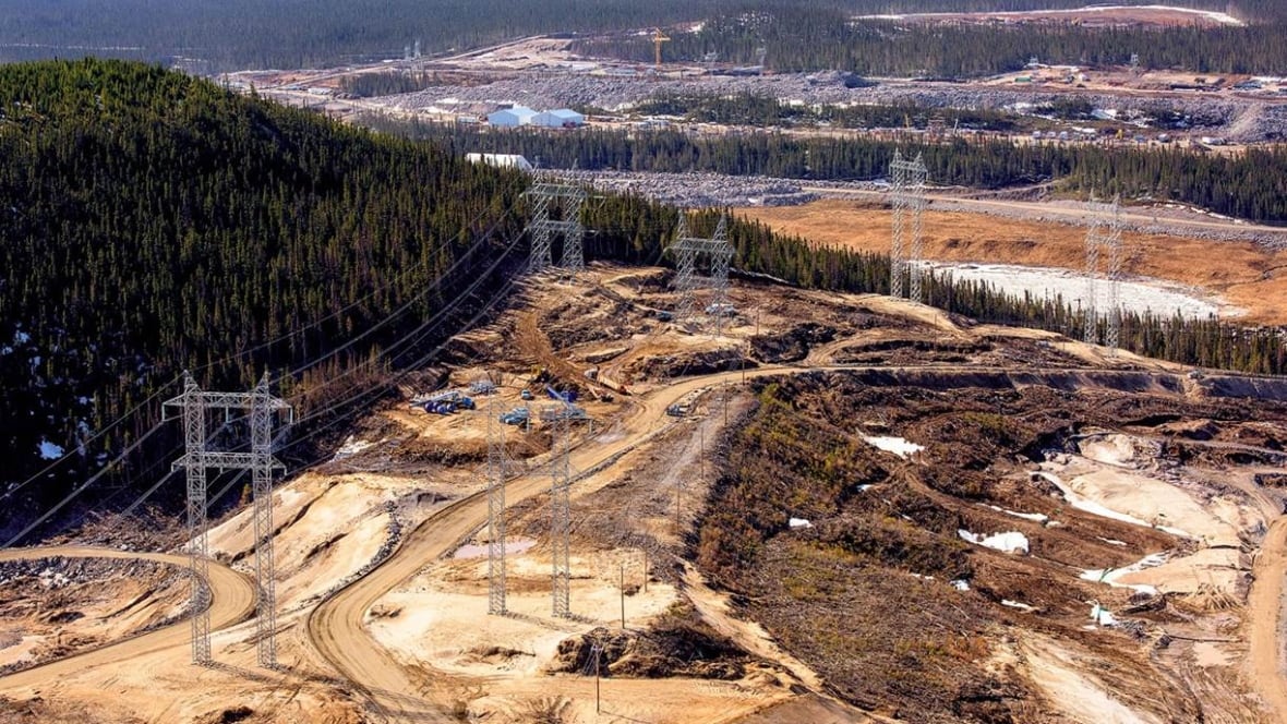 Muskrat Falls project 'should never have seen the light of day' N.L's