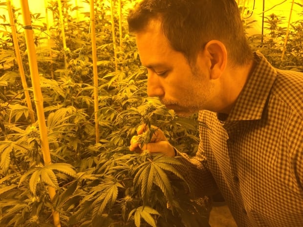 Aaron Justis Buds & Roses Collective