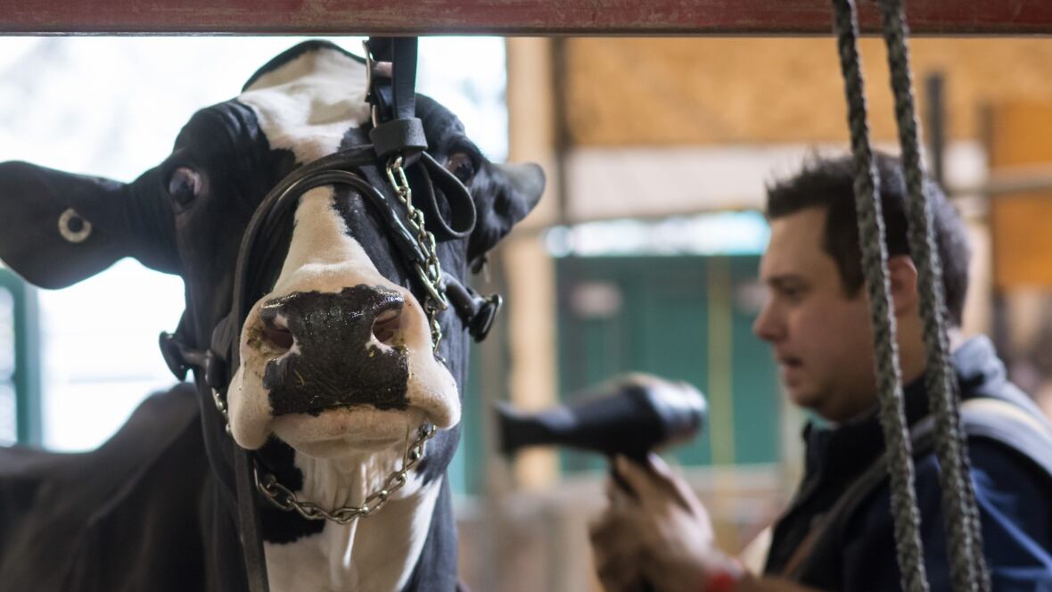 Royal agricultural winter fair coupons