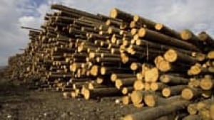 si-cgy-logging-220