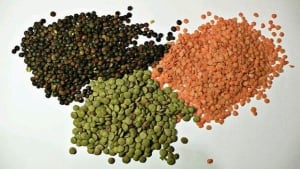 li-lentils-wikimedia