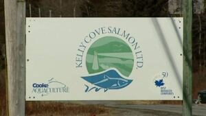 li-ns-cooke-aquaculture