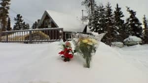 mi-porter-creek-flowers-house