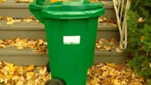 si-cgy-ott-green