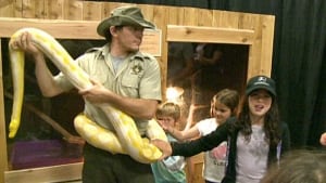 pe-hi-little-ray-snake