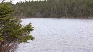 nl-rezori-south-pond-20130430