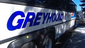 greyhound-852-4col