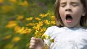 si-allergy-sneeze-220-cpis