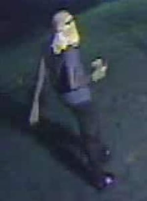 si-220-suspect-image