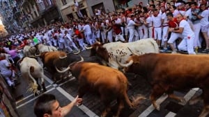 li-bulls-pamplona-04692821