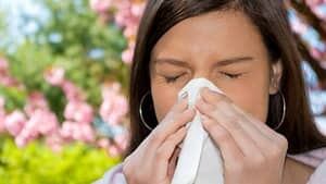 hi-bc-130325-allergy-pollen-4col